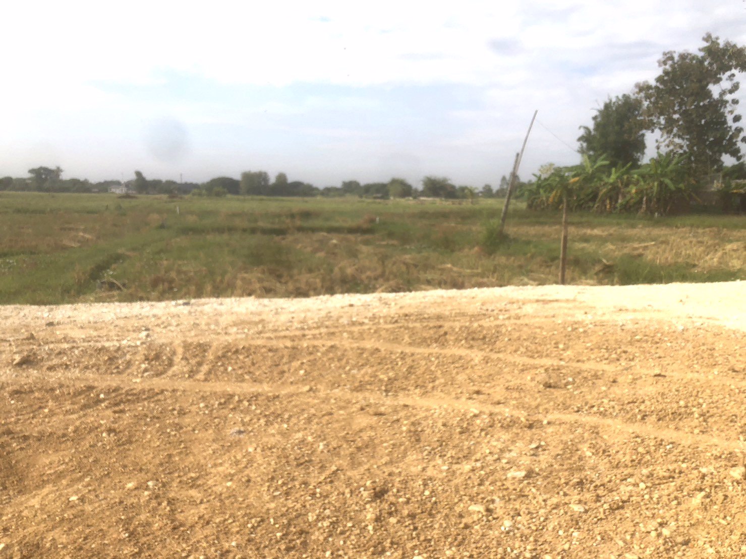 ที่ดินแบ่งขาย-5-แปลง-มีโฉนด-ตารางวาละ-9800-บาท