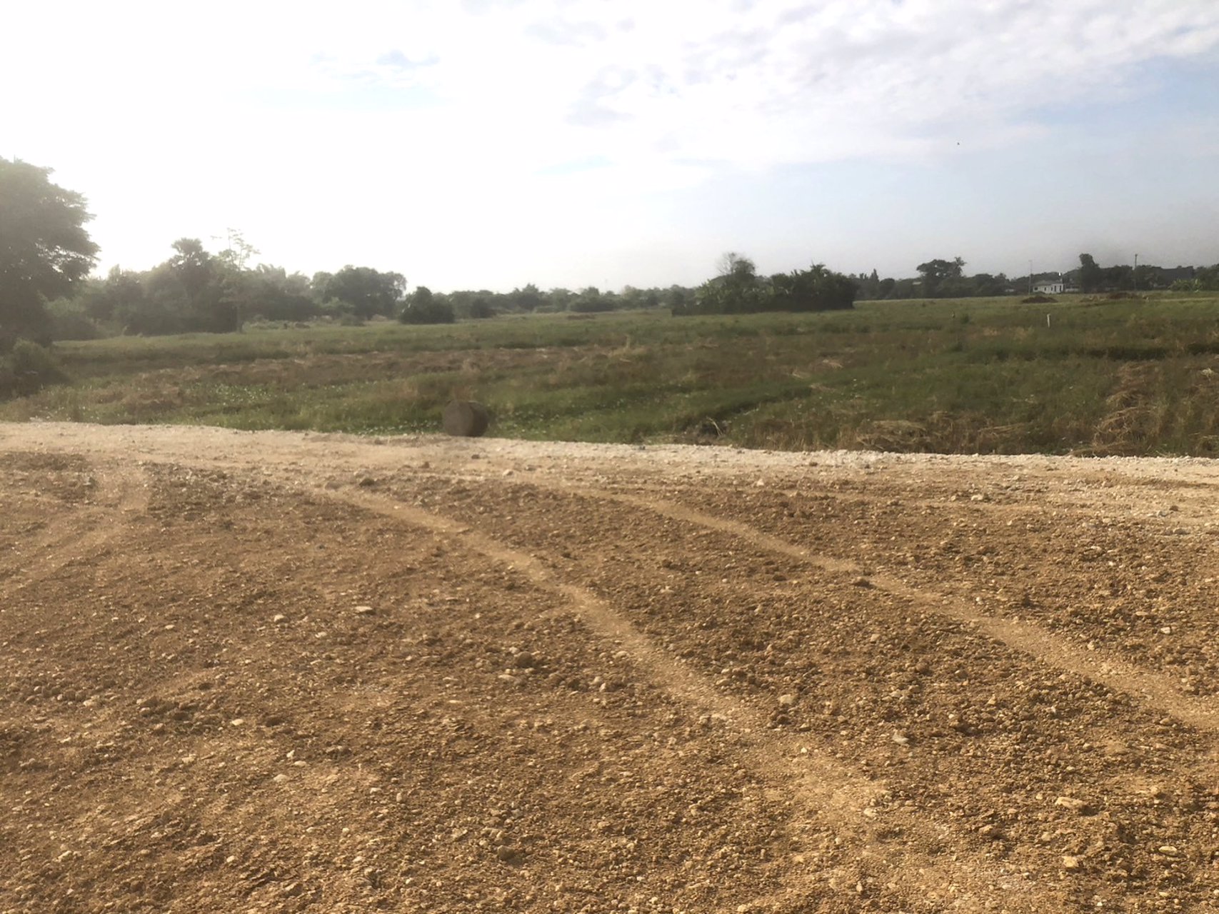 ที่ดินแบ่งขาย-5-แปลง-มีโฉนด-ตารางวาละ-9800-บาท