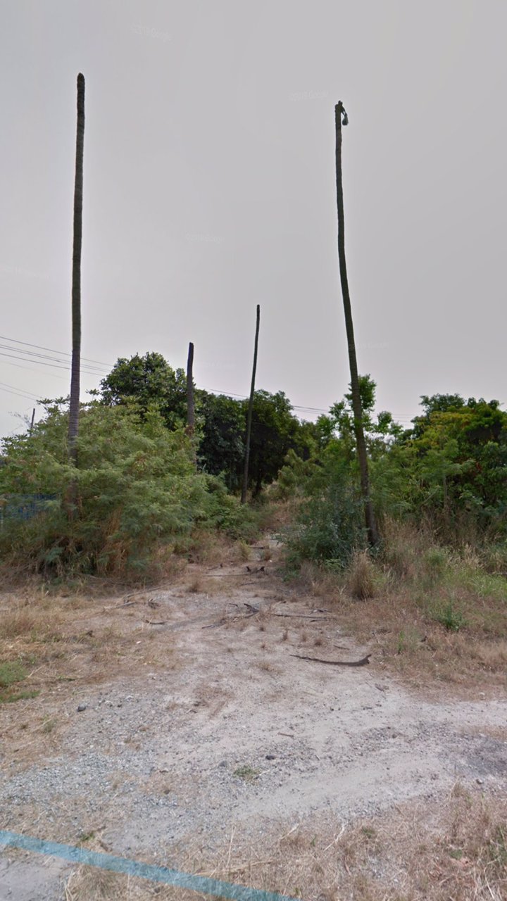 ขายที่ดินเปล่า-ถนนข้าวหลามบางแสน-จังหวัดชลบุรี