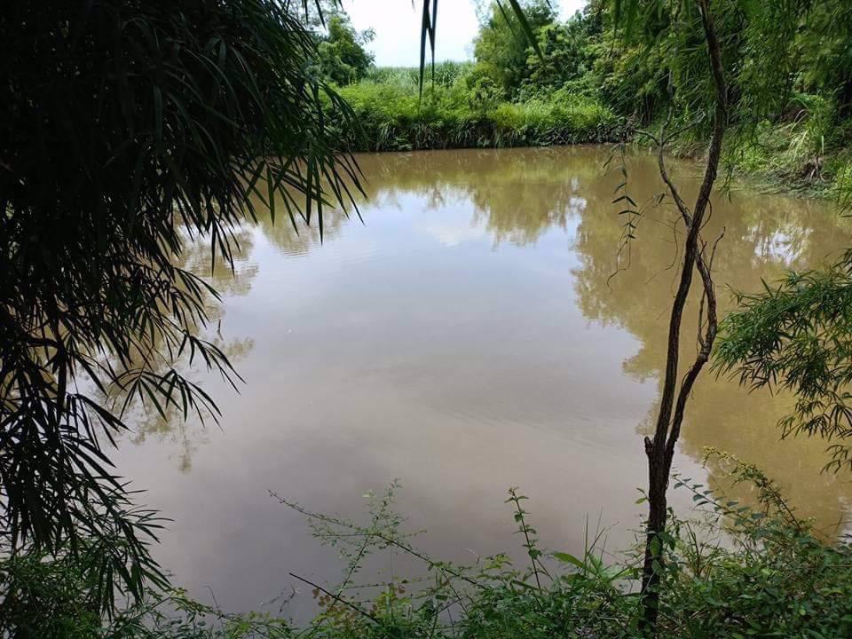 ขายที่ดิน-7ไร่-1งาน-44ตรว-อปักธงชัย-จนครราชสีมา-ห่างจากถนนหมายเลข-24-โชคชัย-เดชอุดม-300-เมตร