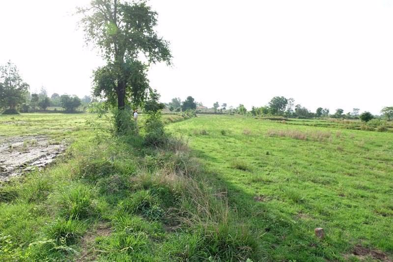 ขายที่ดิน-7ไร่-1งาน-44ตรว-อปักธงชัย-จนครราชสีมา-ห่างจากถนนหมายเลข-24-โชคชัย-เดชอุดม-300-เมตร