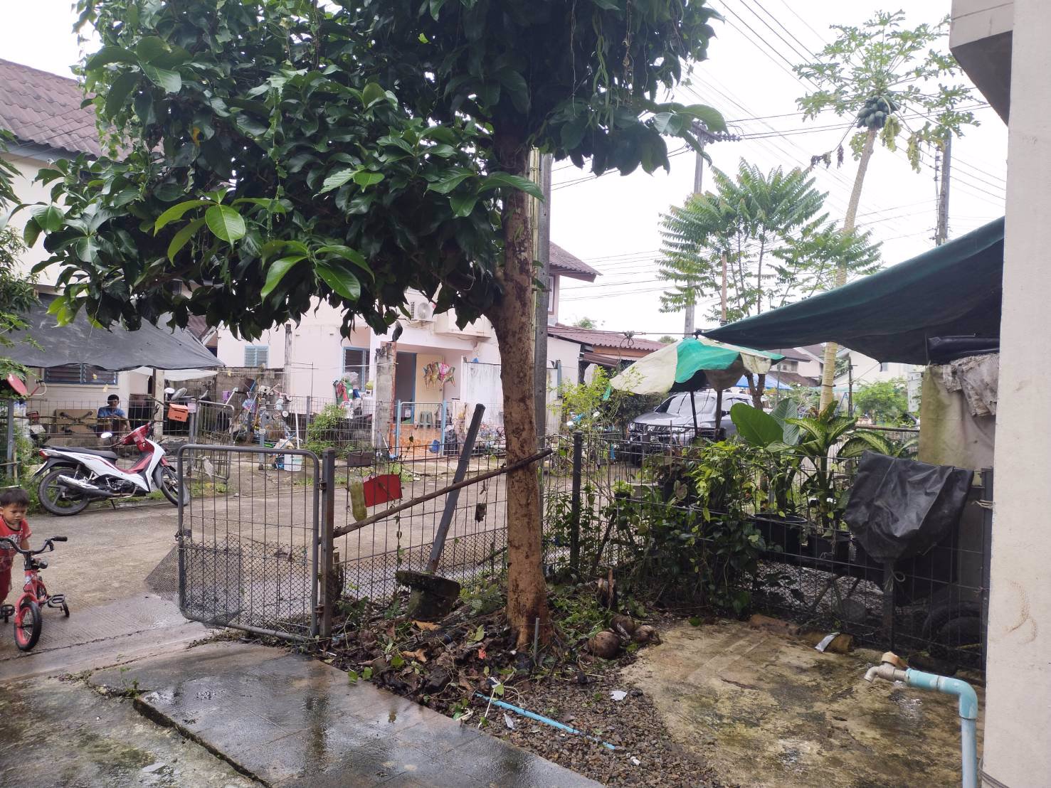 ขาย-บ้าน-ในโครงการ-การเคหะแห่งชาติบ้านเอื้ออาทรระยอง-ทุ่งควายกิน-2-