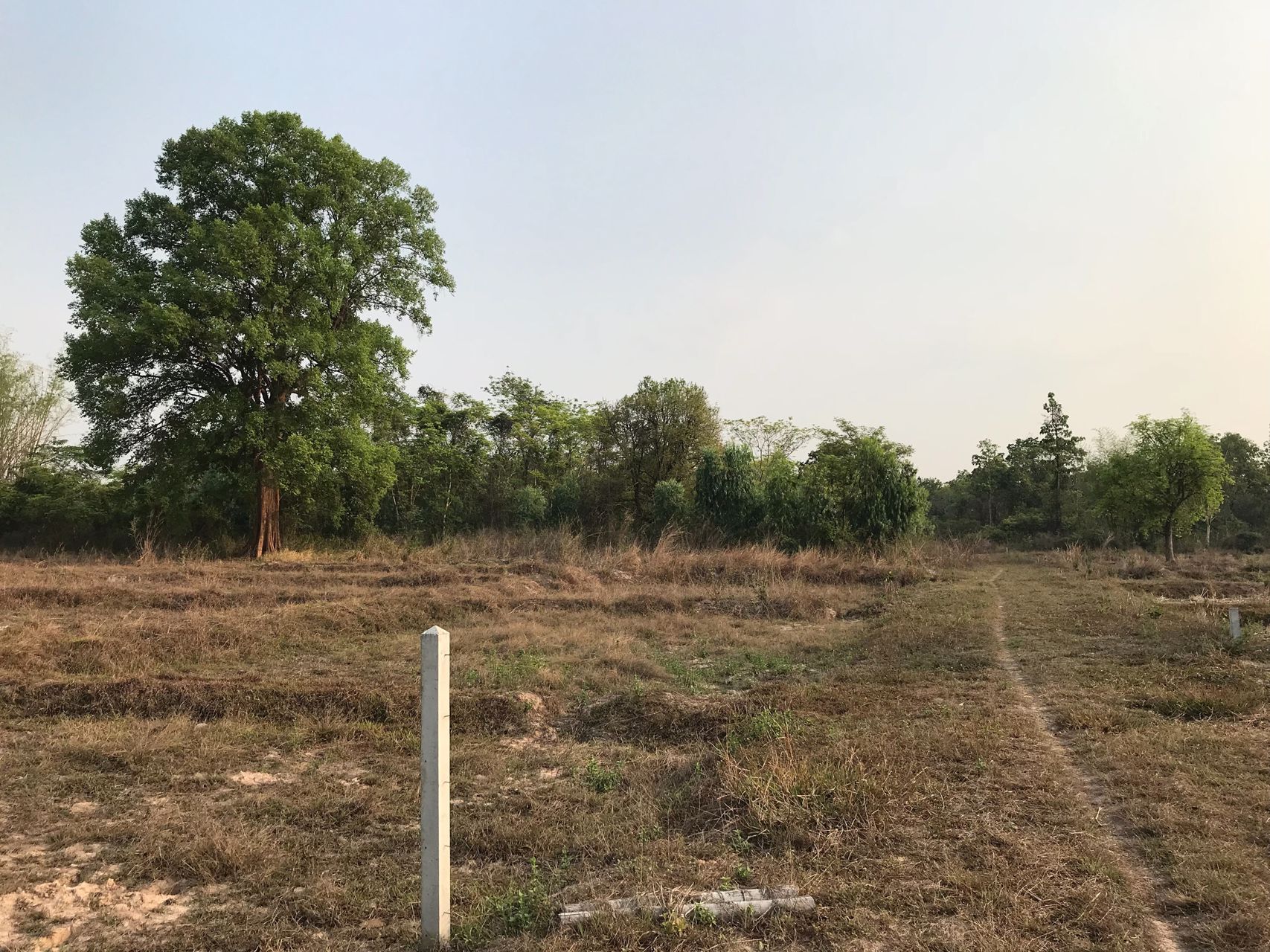 ขายที่ดิน-9-ไร่-ใกล้มหาวิทยาลัยราชภัฏอุดรธานี