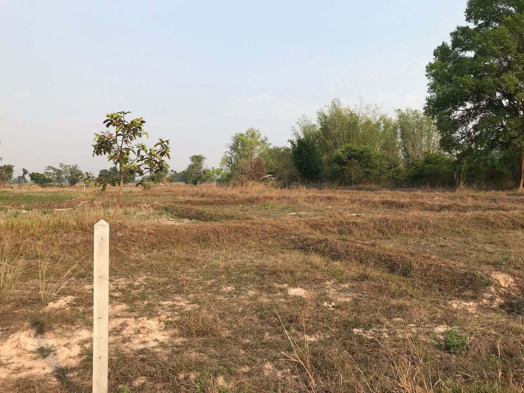 ขายที่ดิน-9-ไร่-ใกล้มหาวิทยาลัยราชภัฏอุดรธานี