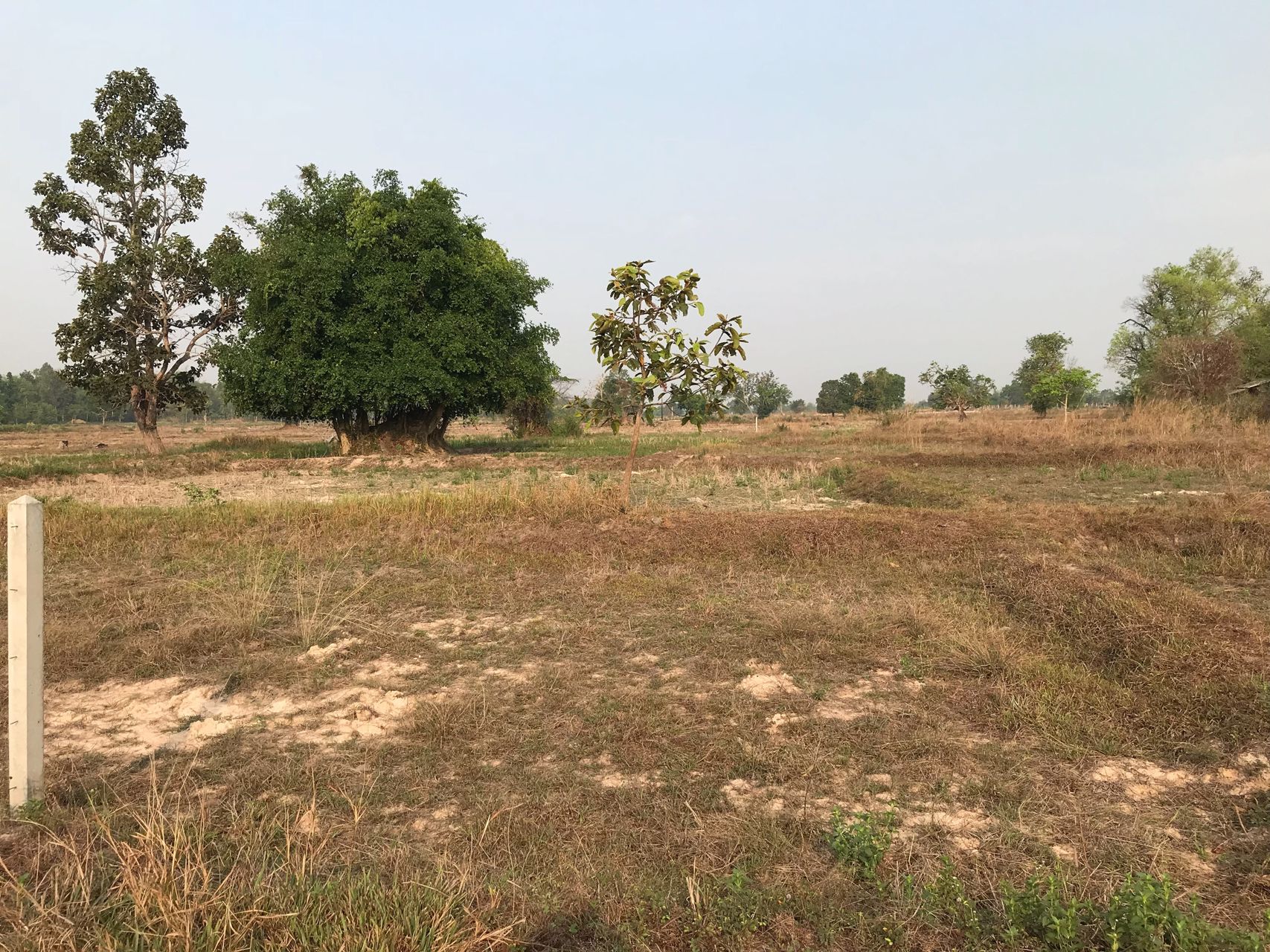 ขายที่ดิน-9-ไร่-ใกล้มหาวิทยาลัยราชภัฏอุดรธานี