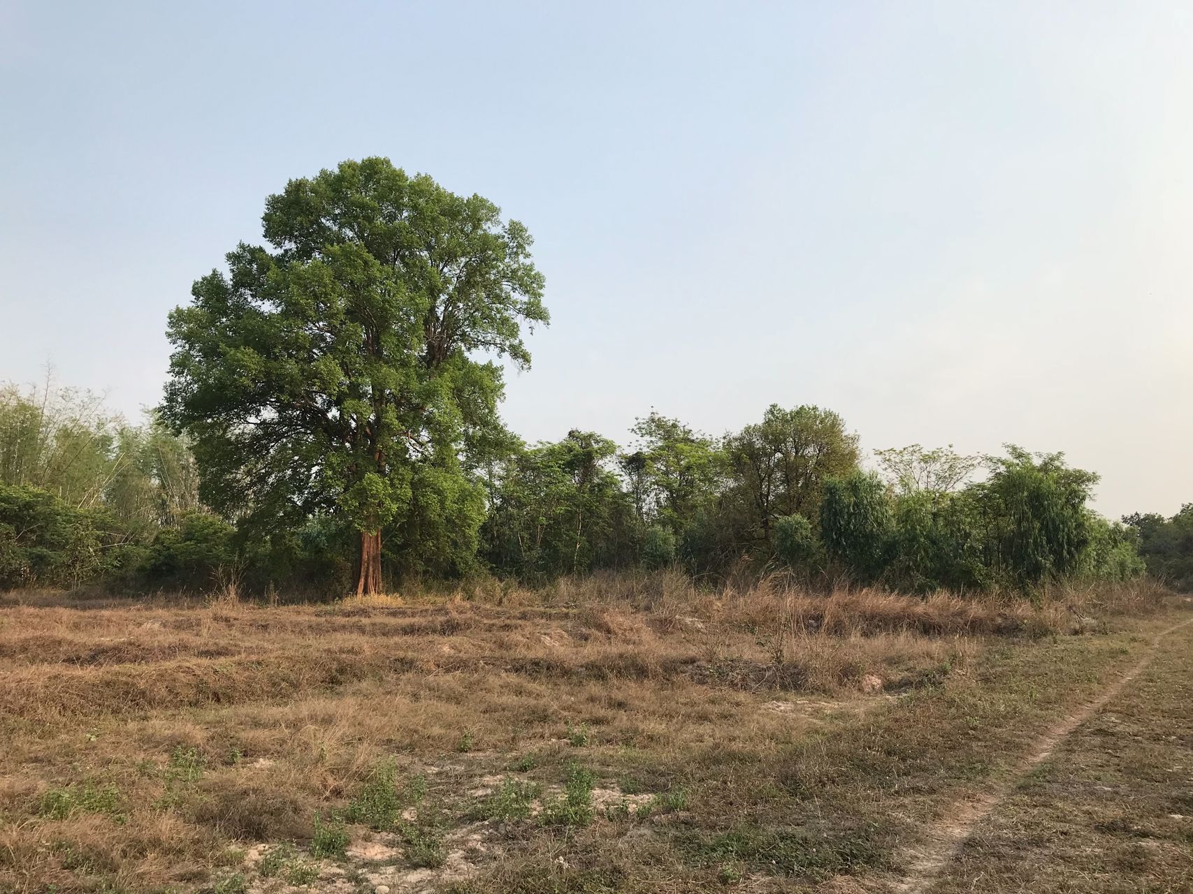 ขายที่ดิน-9-ไร่-ใกล้มหาวิทยาลัยราชภัฏอุดรธานี