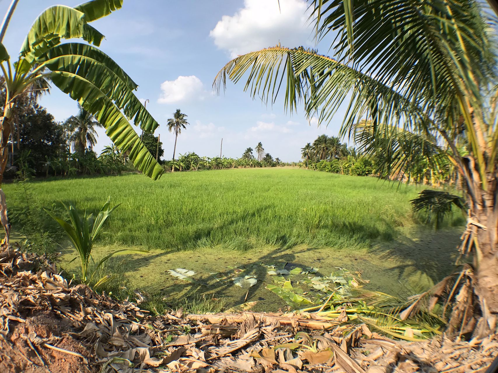 ขายที่ดิน-6-ไร่-คลองทวีวัฒนา-คลองนราภิรมณ์-ใกล้มหิดลศาลายา-มอเตอร์เวย์-บางใหญ่-กาญจนบุรี