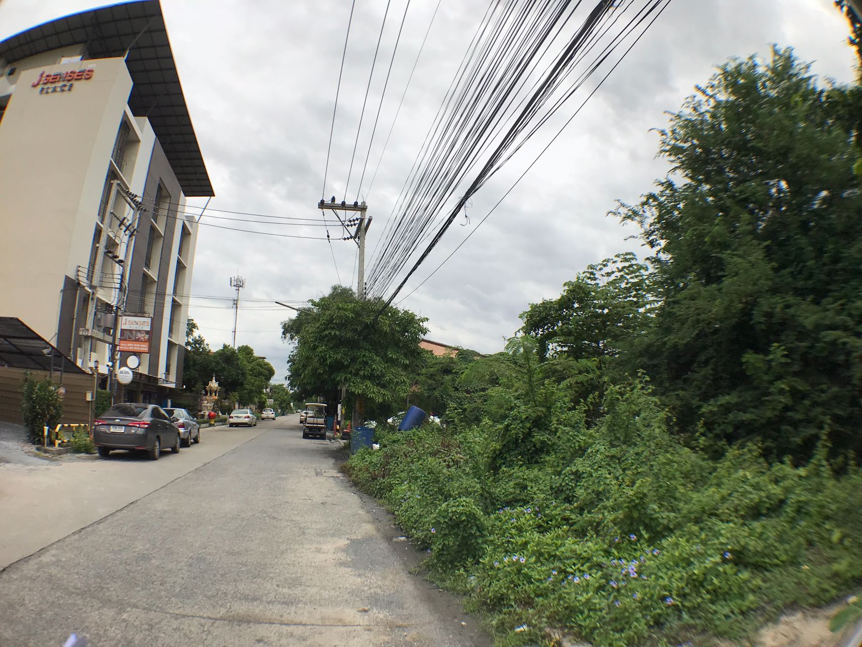 ขายที่ดิน-298-ตารางวา-คลอง-2-ปทุมธานี