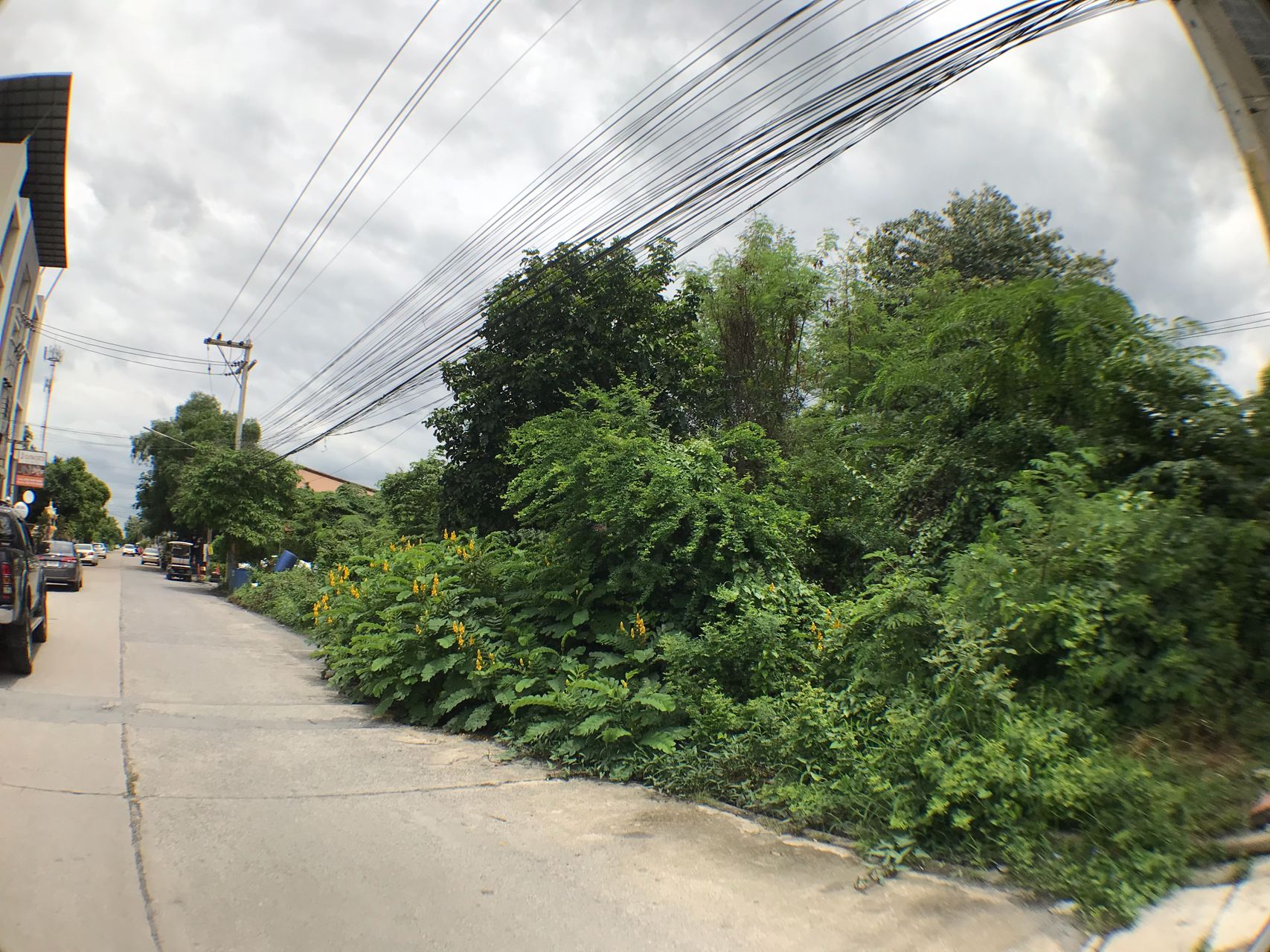 ขายที่ดิน-298-ตารางวา-คลอง-2-ปทุมธานี