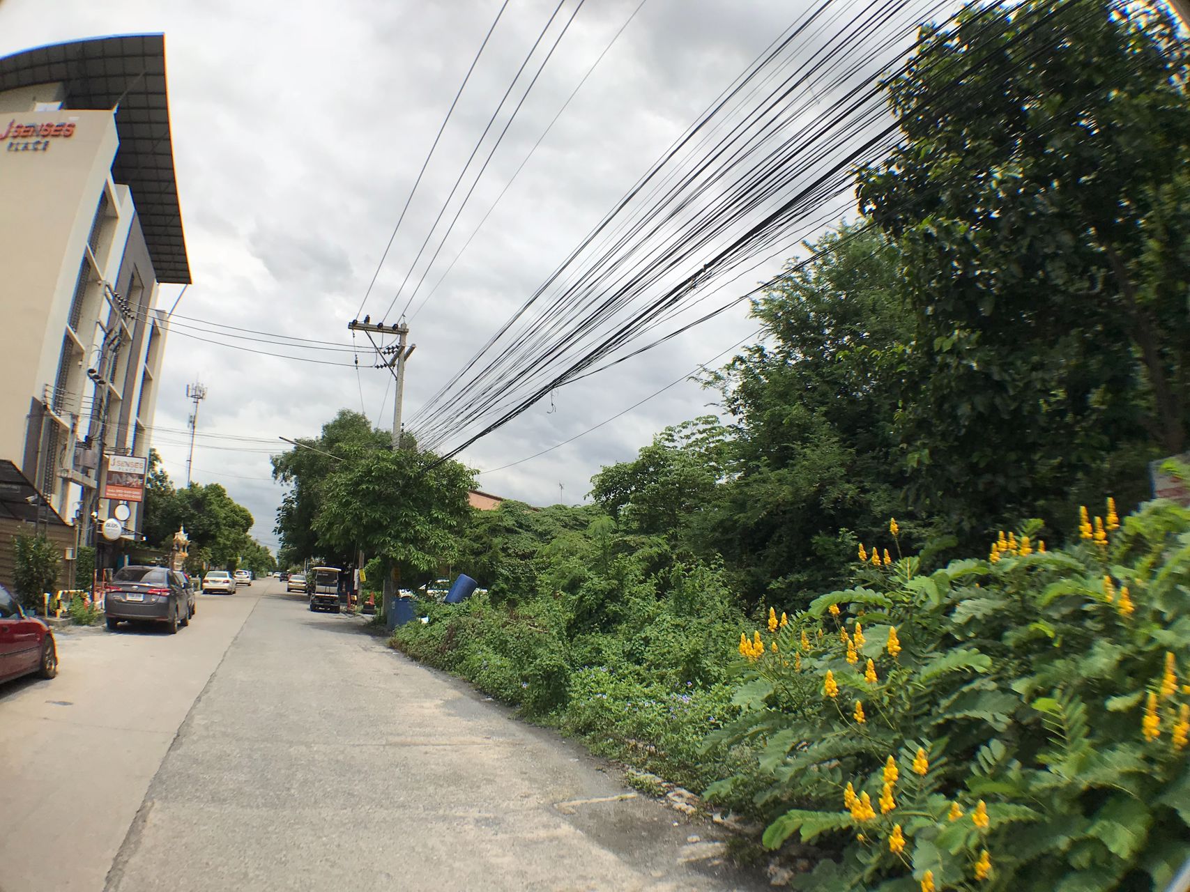 ขายที่ดิน-298-ตารางวา-คลอง-2-ปทุมธานี