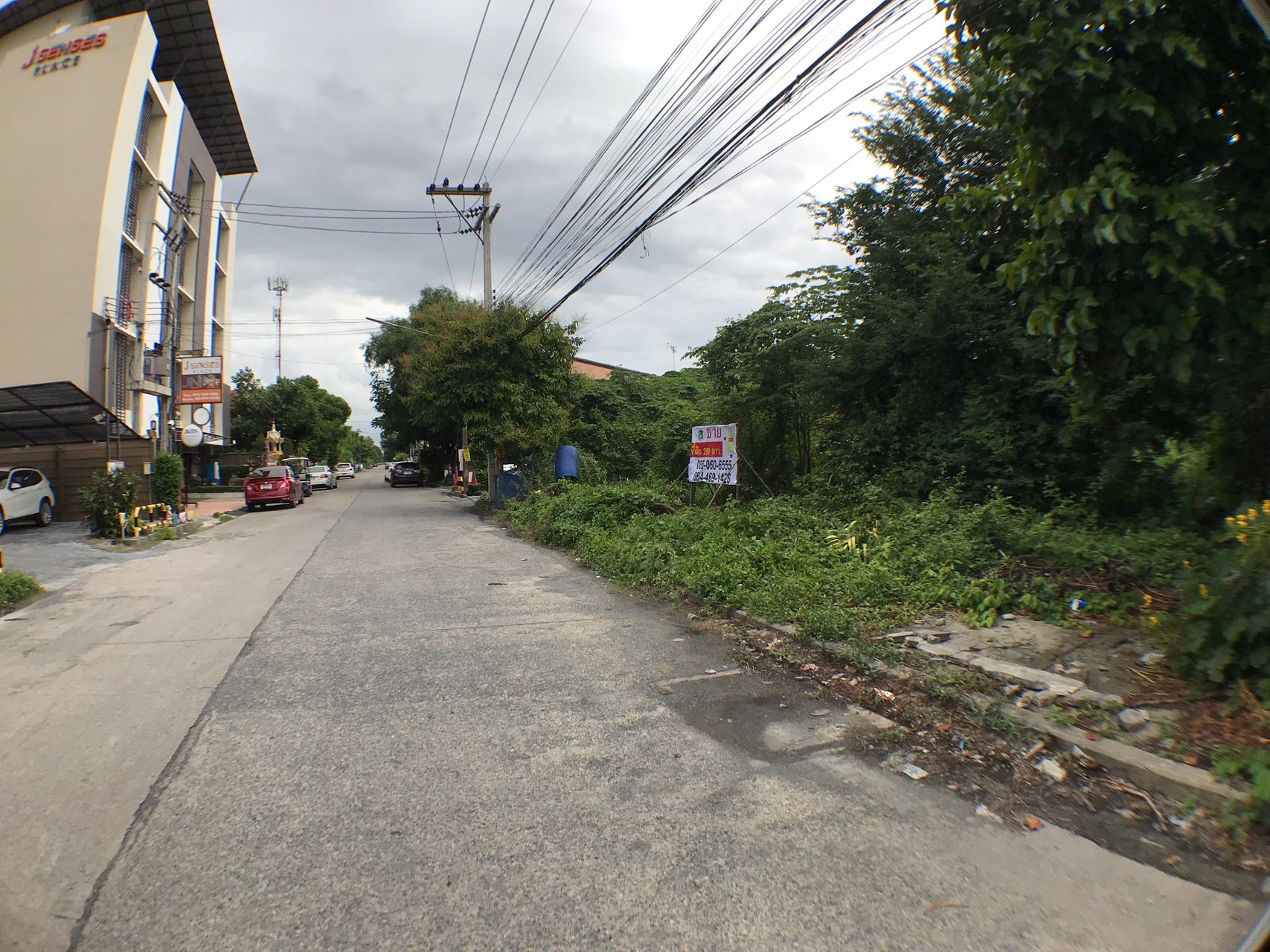 ขายที่ดิน-298-ตารางวา-คลอง-2-ปทุมธานี