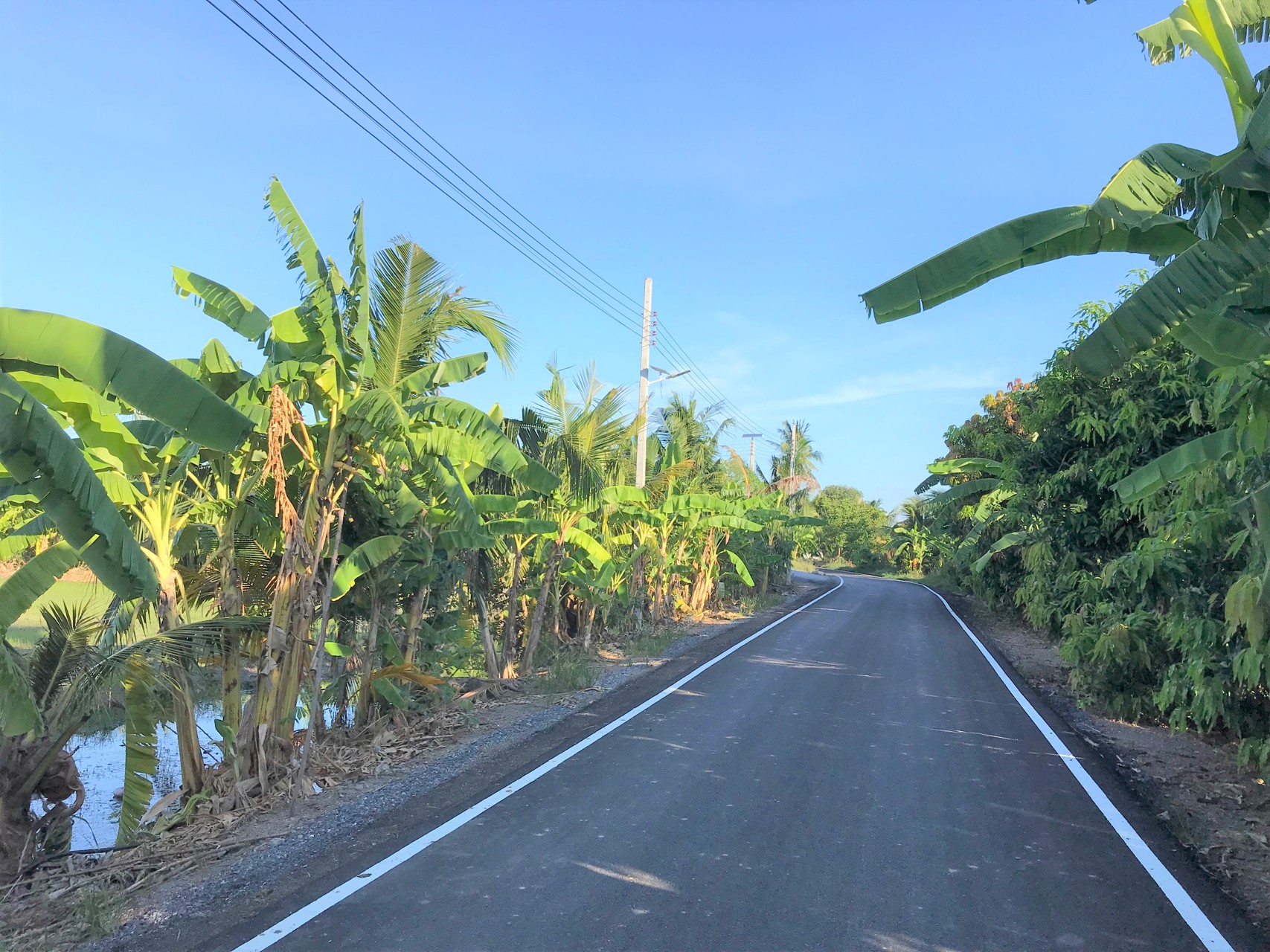 ขายที่ดิน-6-ไร่-คลองทวีวัฒนา-คลองนราภิรมณ์-ใกล้มหิดลศาลายา-มอเตอร์เวย์-บางใหญ่-กาญจนบุรี