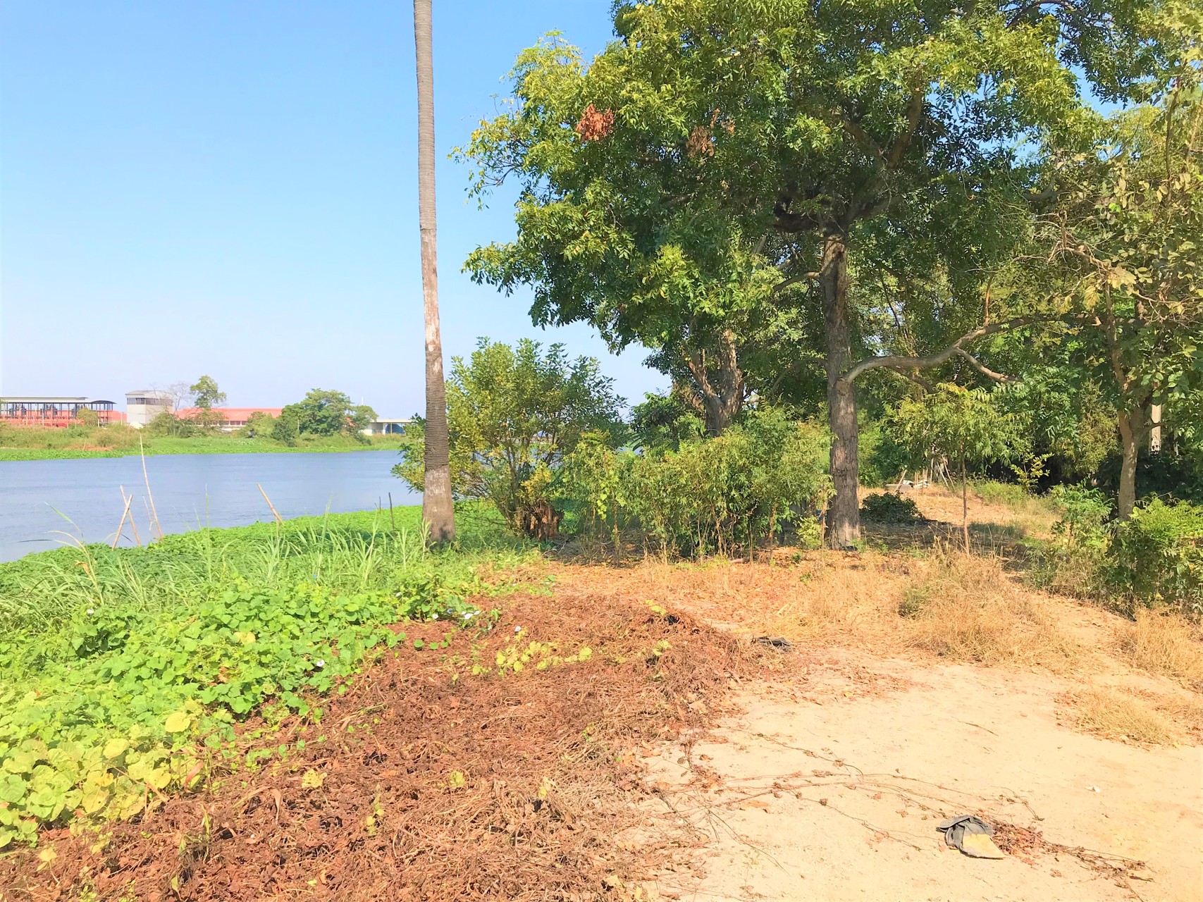 ขายที่ดิน-3ไร่-ติดแม่น้ำนครชัยศรี
