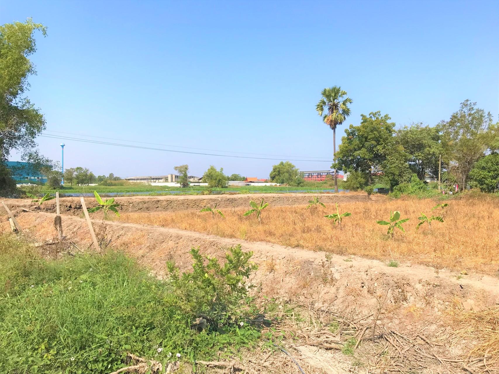 ขายที่ดิน-3ไร่-ติดแม่น้ำนครชัยศรี