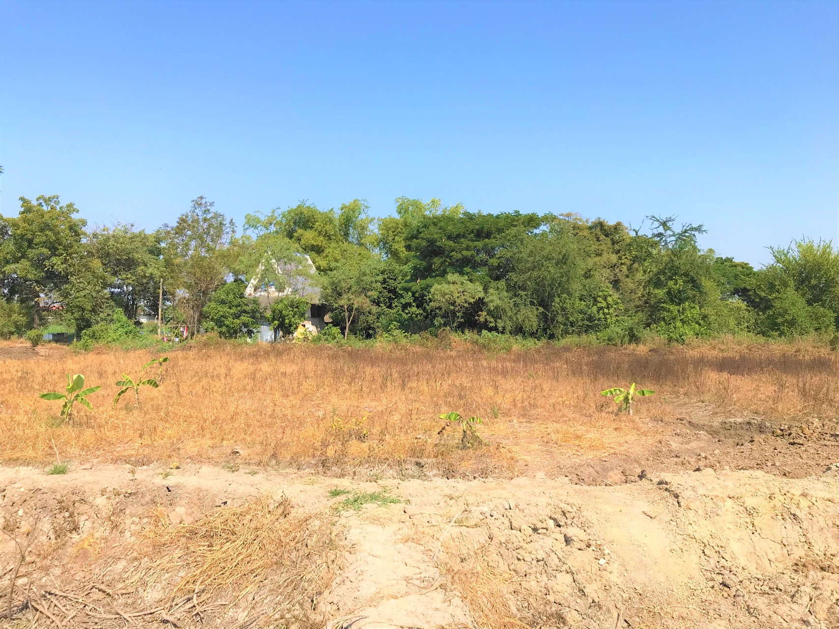 ขายที่ดิน-3ไร่-ติดแม่น้ำนครชัยศรี