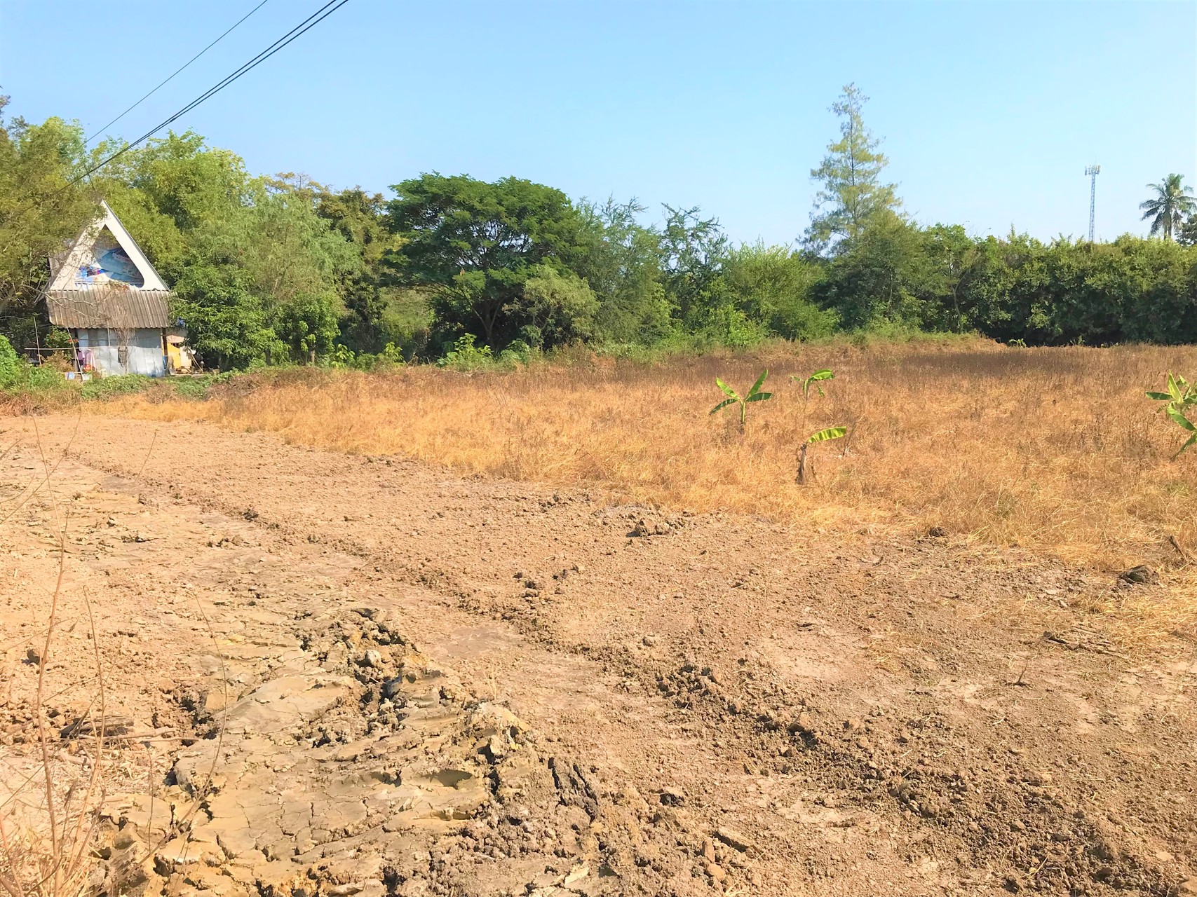 ขายที่ดิน-3ไร่-ติดแม่น้ำนครชัยศรี