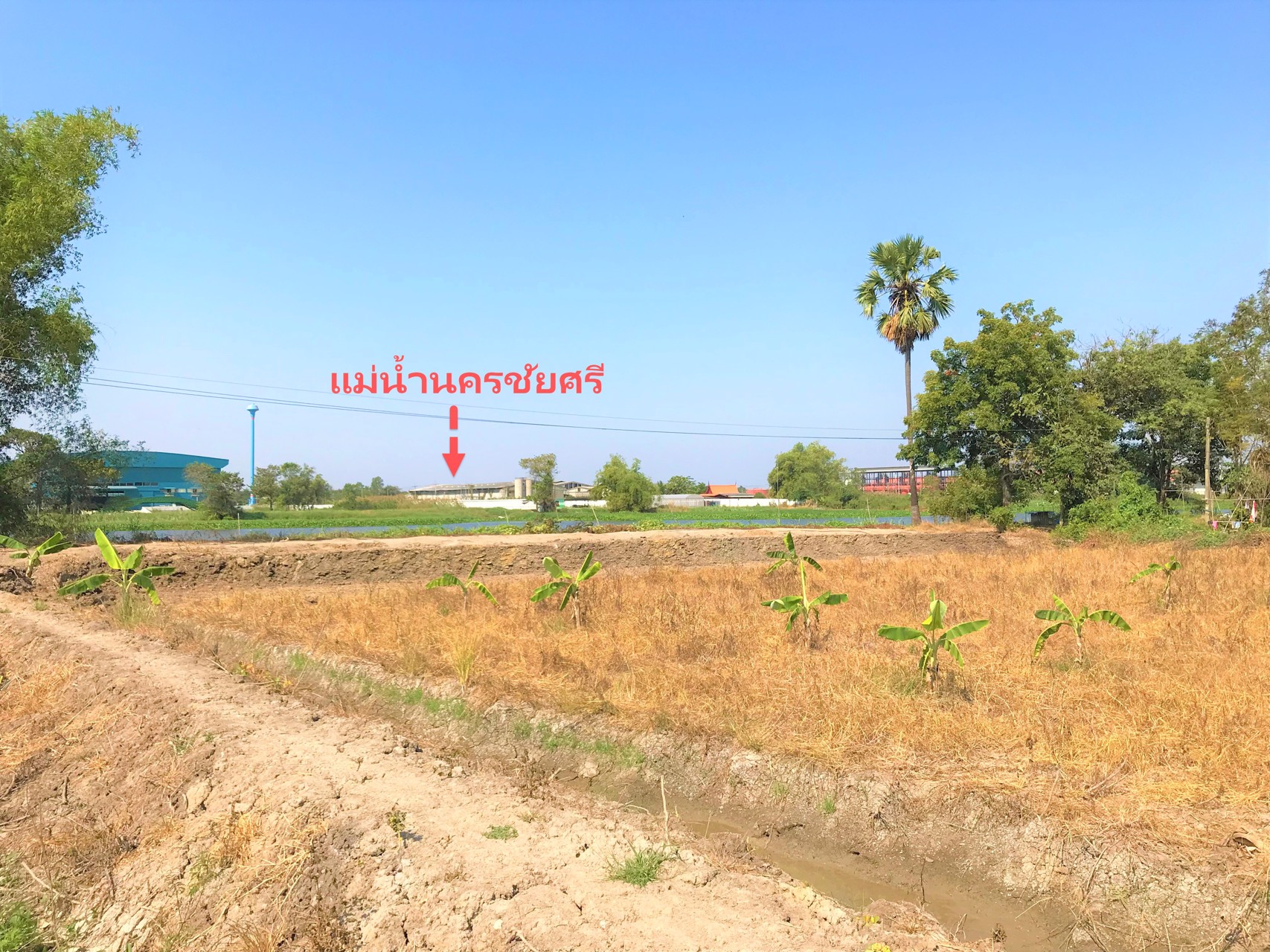 ขายที่ดิน-3ไร่-ติดแม่น้ำนครชัยศรี