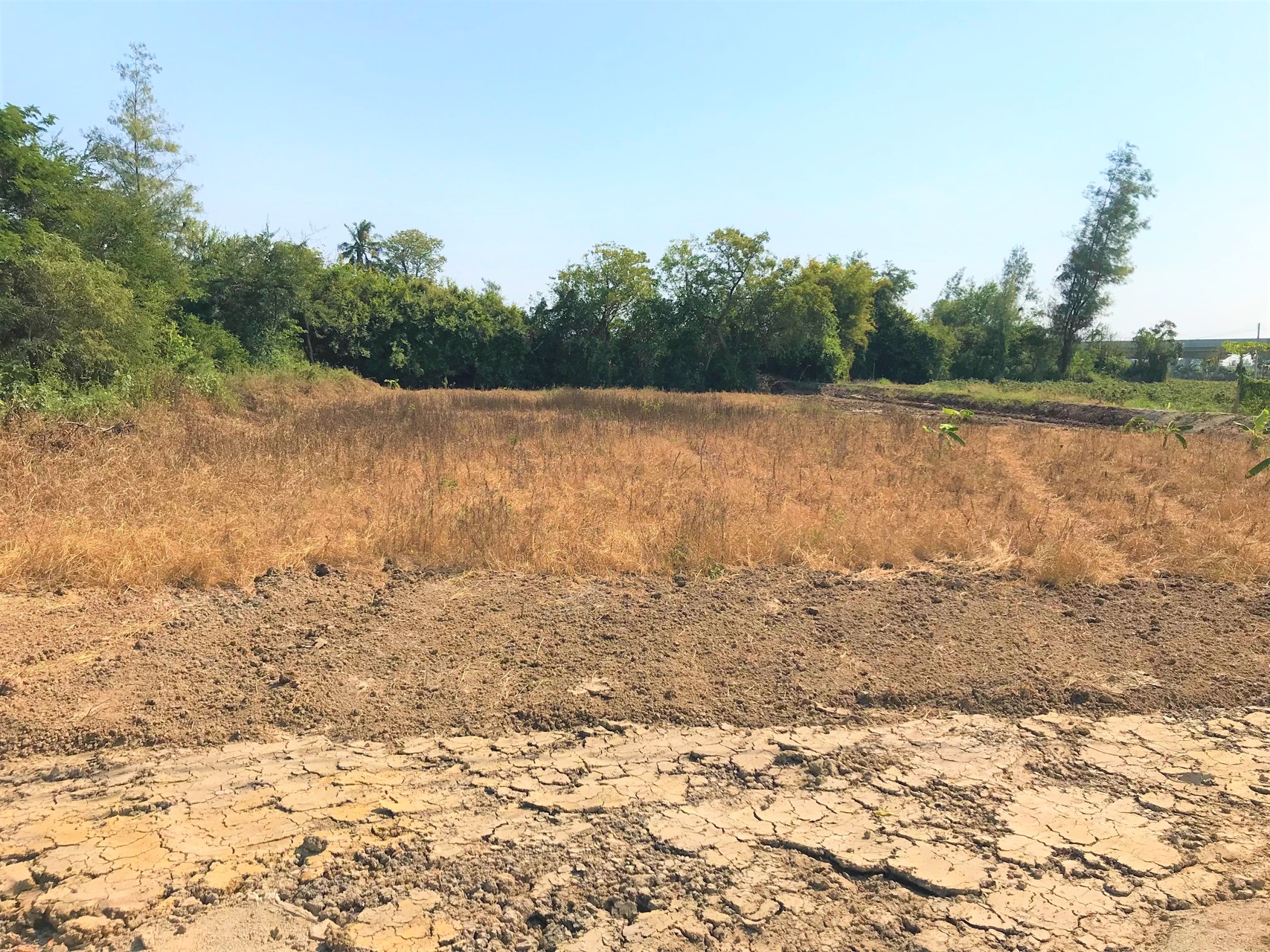 ขายที่ดิน-3ไร่-ติดแม่น้ำนครชัยศรี