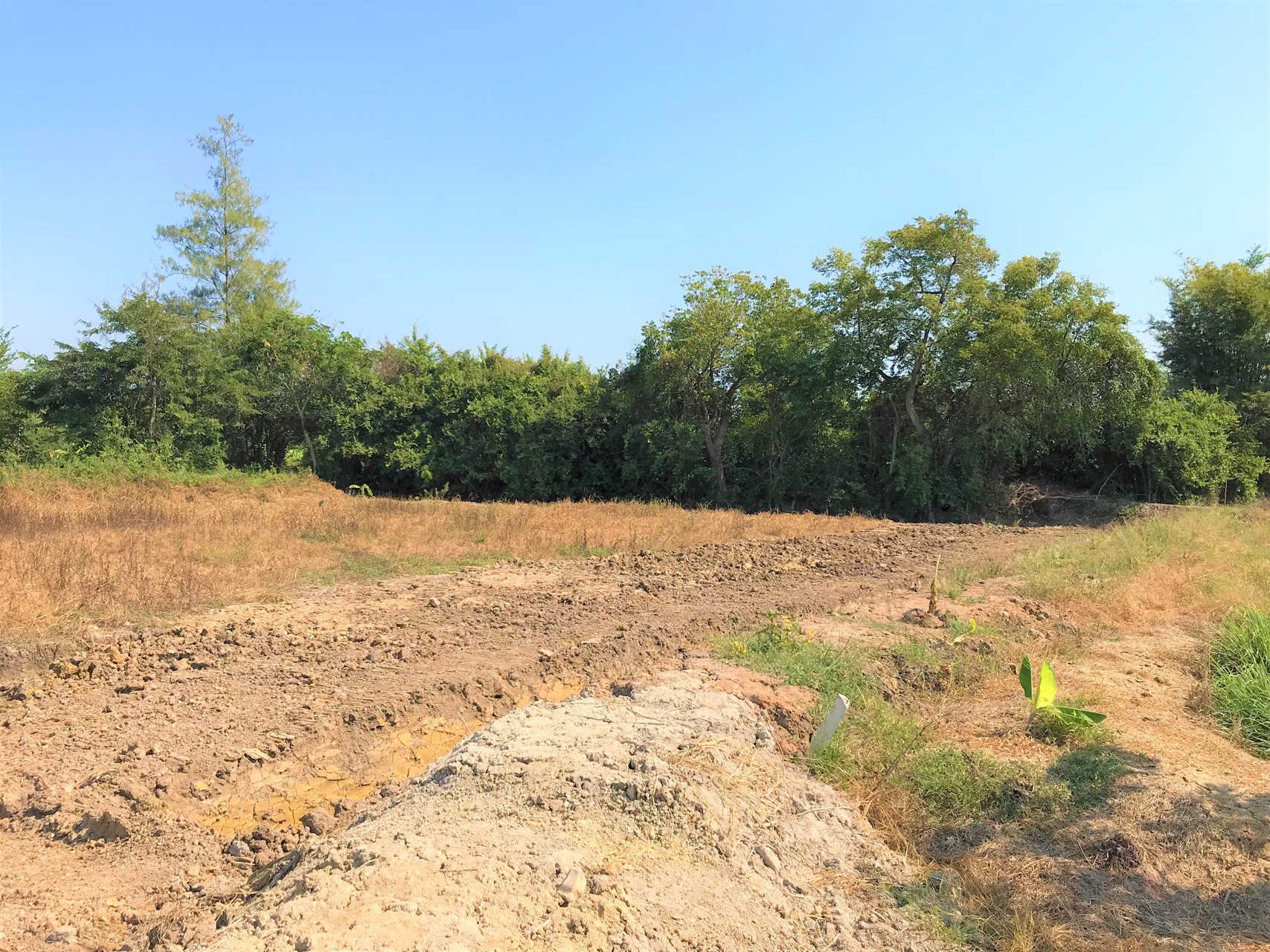 ขายที่ดิน-3ไร่-ติดแม่น้ำนครชัยศรี