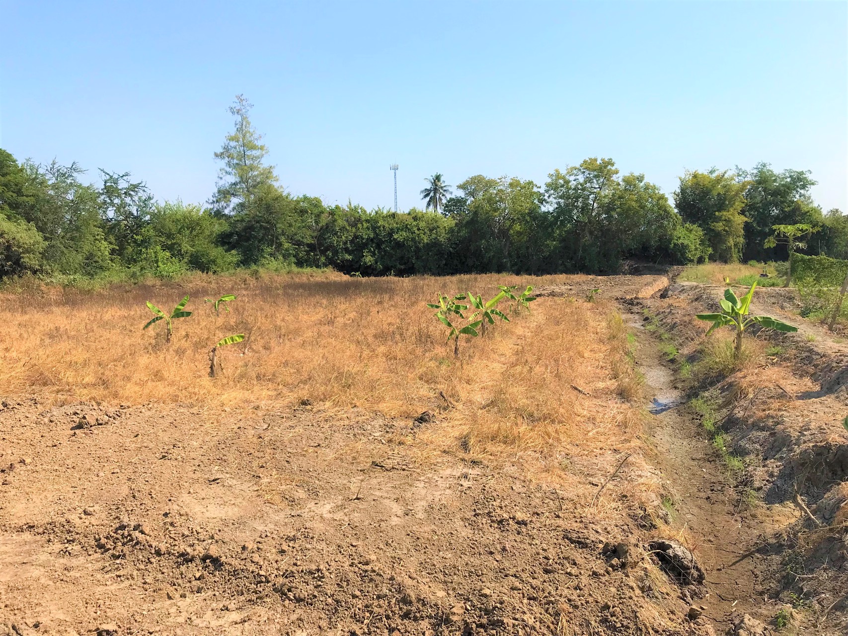 ขายที่ดิน-3ไร่-ติดแม่น้ำนครชัยศรี