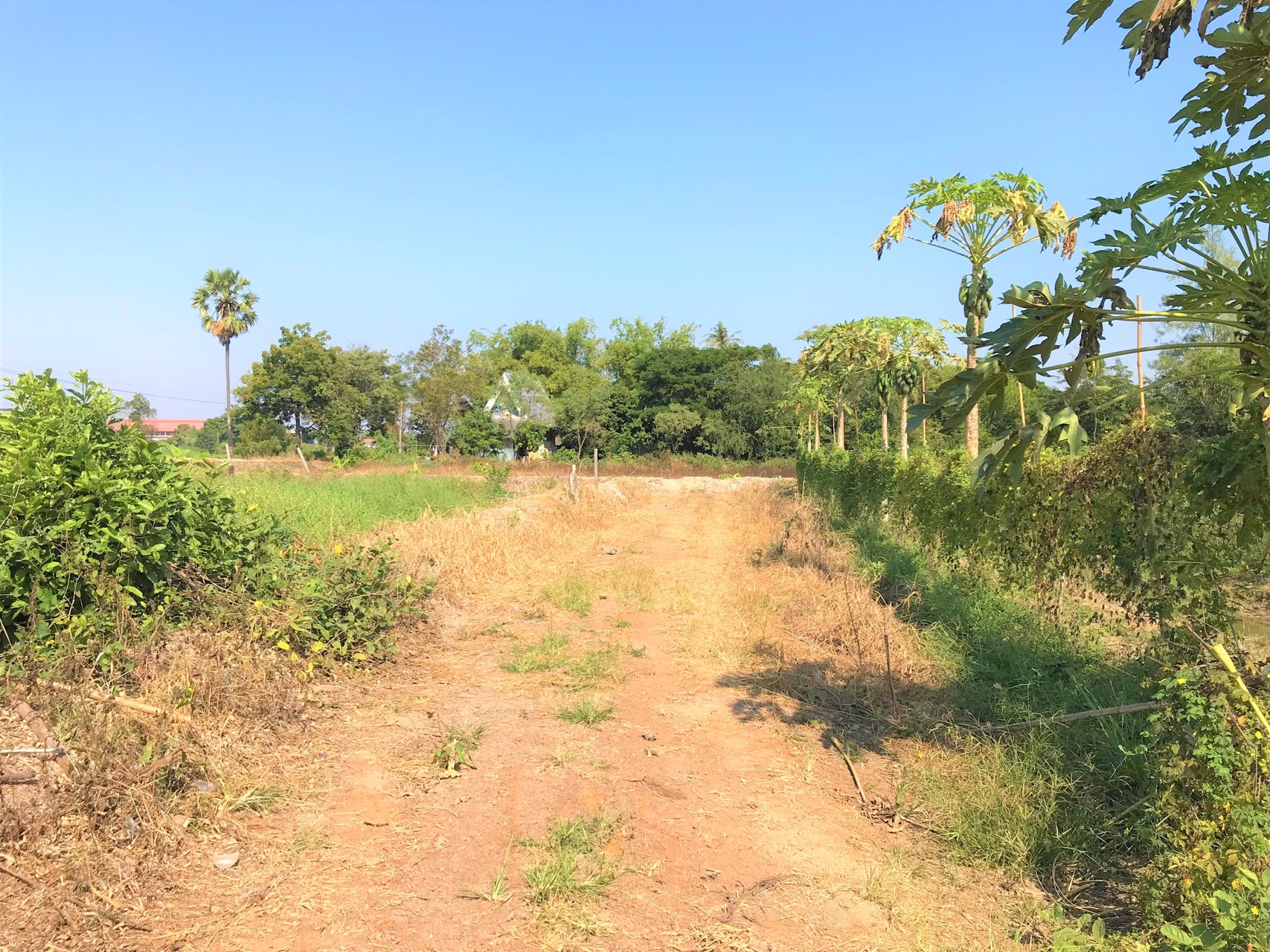 ขายที่ดิน-3ไร่-ติดแม่น้ำนครชัยศรี