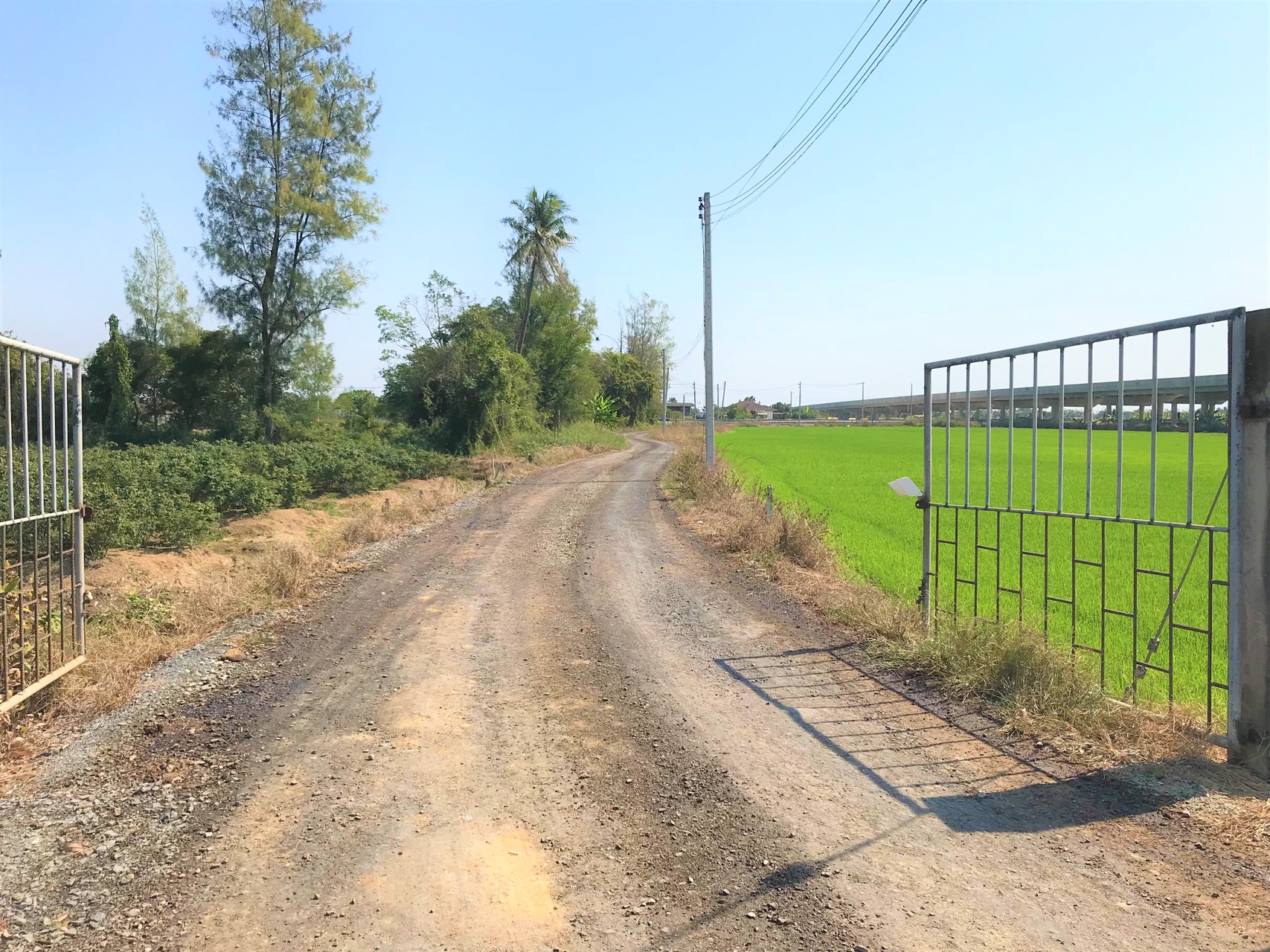 ขายที่ดิน-3ไร่-ติดแม่น้ำนครชัยศรี