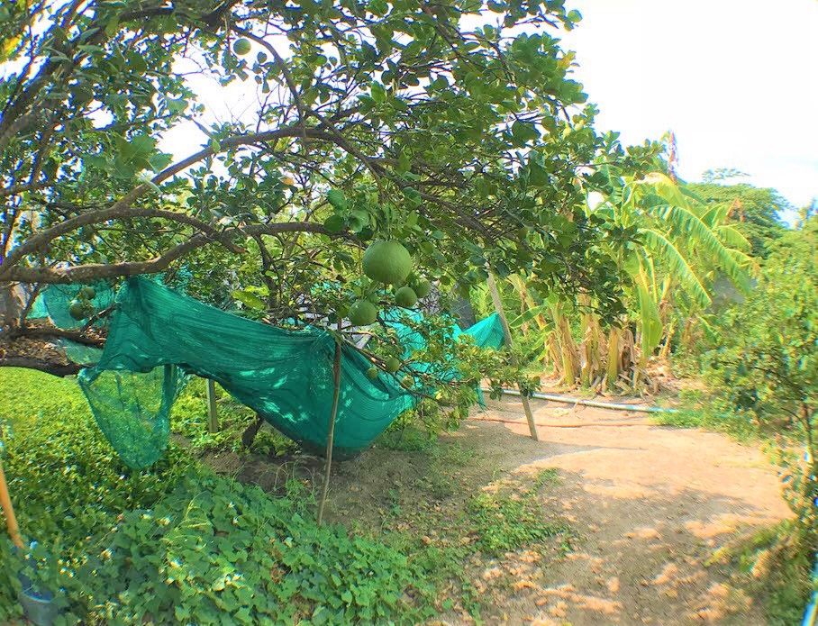 ขายที่ดิน-2-ไร่-ถนนนครอินทร์-ถนนราชพฤกษ์-ถนนพระราม-5-ถนนสวนผัก-บางกรวย-นนทบุรี