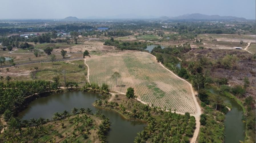 ที่ดินโฉนดหัวหิน21-1-14ไร่-tel089-7811422