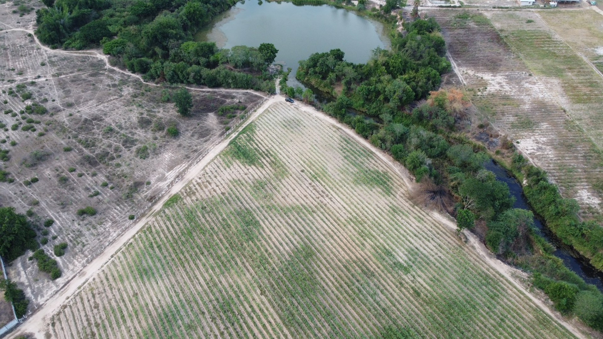 ที่ดินโฉนดหัวหิน21-1-14ไร่-tel089-7811422