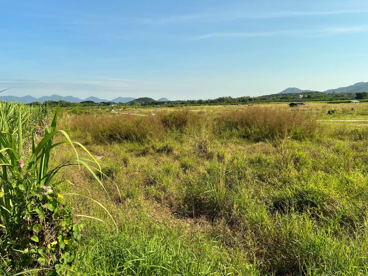 📍ขายที่ดิน-หัวหิน-แปลงสวย-ทำเลดี-ใกล้ถนนบายพาส-ชายหาดหัวหิน