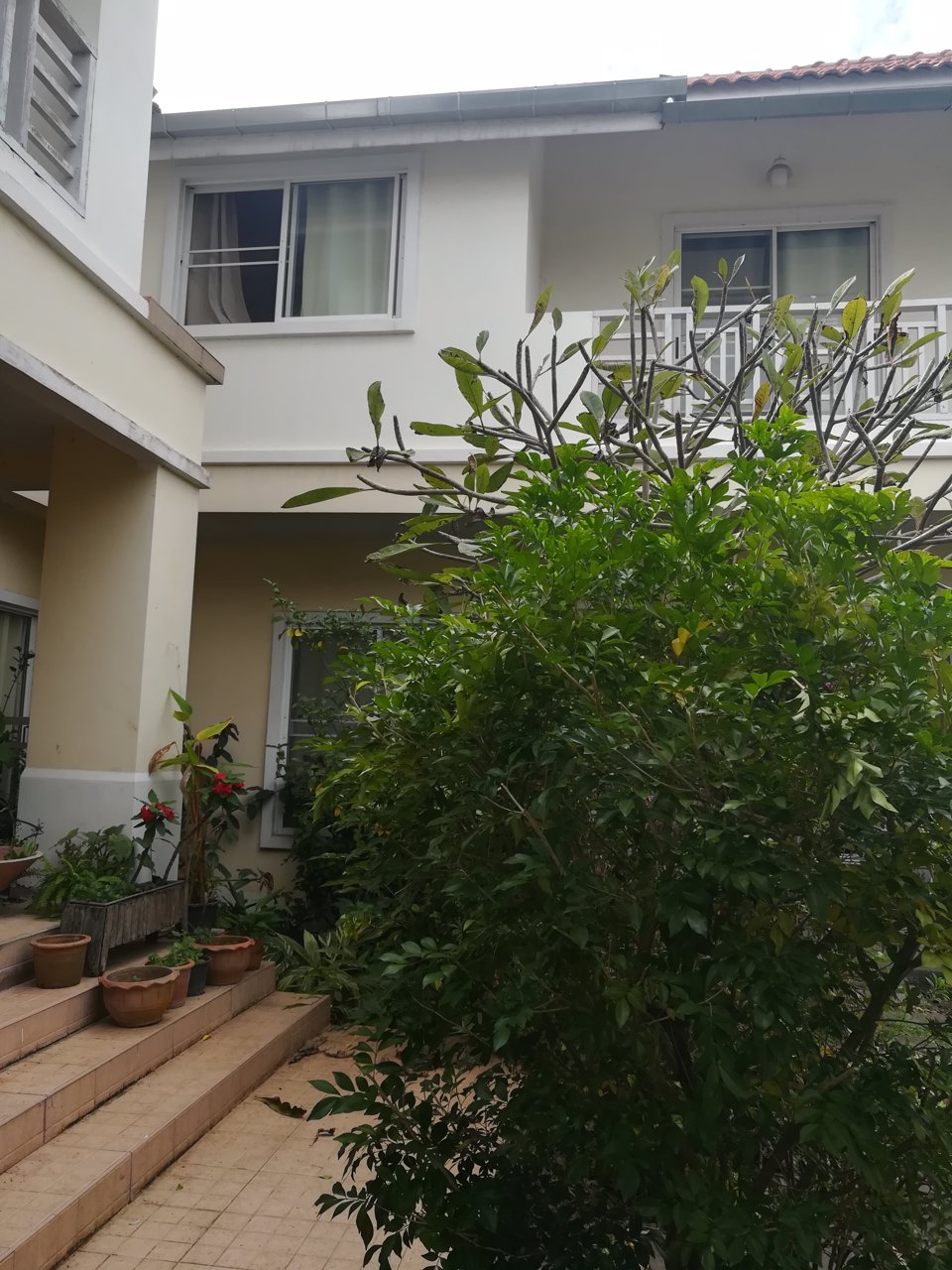 ขาย-ให้เช่า-บ้านเดี่ยว-2-ชั้น-เนื้อที่-75-ตรว-หมู่บ้านกุลพันธ์วิลล์-โครงการ-9-ย่านหางดง