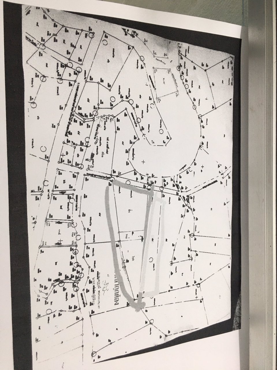 ขายที่ดิน-สวนมะพร้าว-ใกล้ถนน4เลน-บางไทร-เมือง-สุราษฎร์ธานี