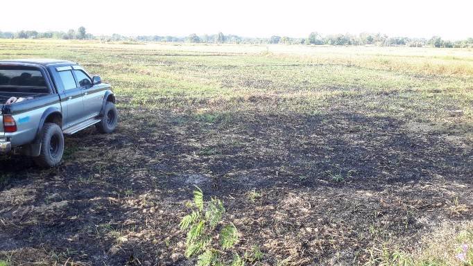 ขายที่ดินนา-อำเภอร้องกวาง-จังหวัดแพร่