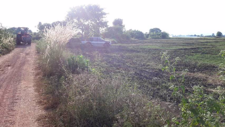 ขายที่ดินนา-อำเภอร้องกวาง-จังหวัดแพร่