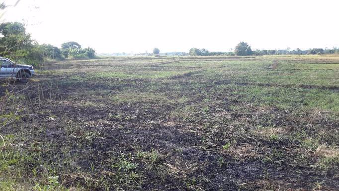 ขายที่ดินนา-อำเภอร้องกวาง-จังหวัดแพร่