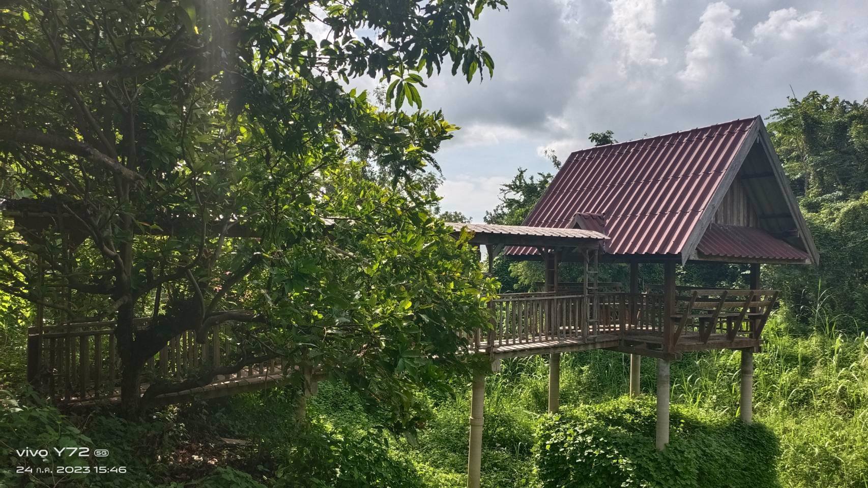 ขายที่ดิน-โฉนดครุฑแดง-นส๔-จ-เป็นที่โฉนดสองแปลงติดกัน-เจ้าของขายเอง-