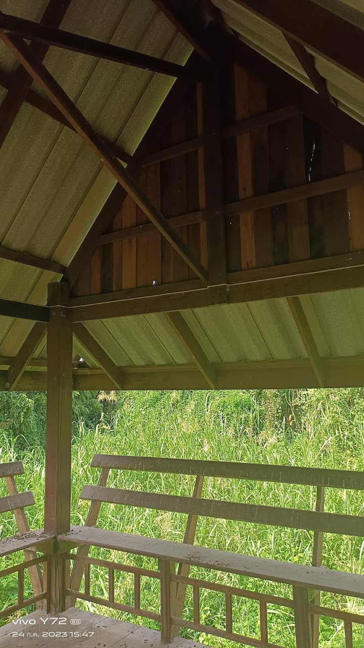 ขายที่ดิน-โฉนดครุฑแดง-นส๔-จ-เป็นที่โฉนดสองแปลงติดกัน-เจ้าของขายเอง-