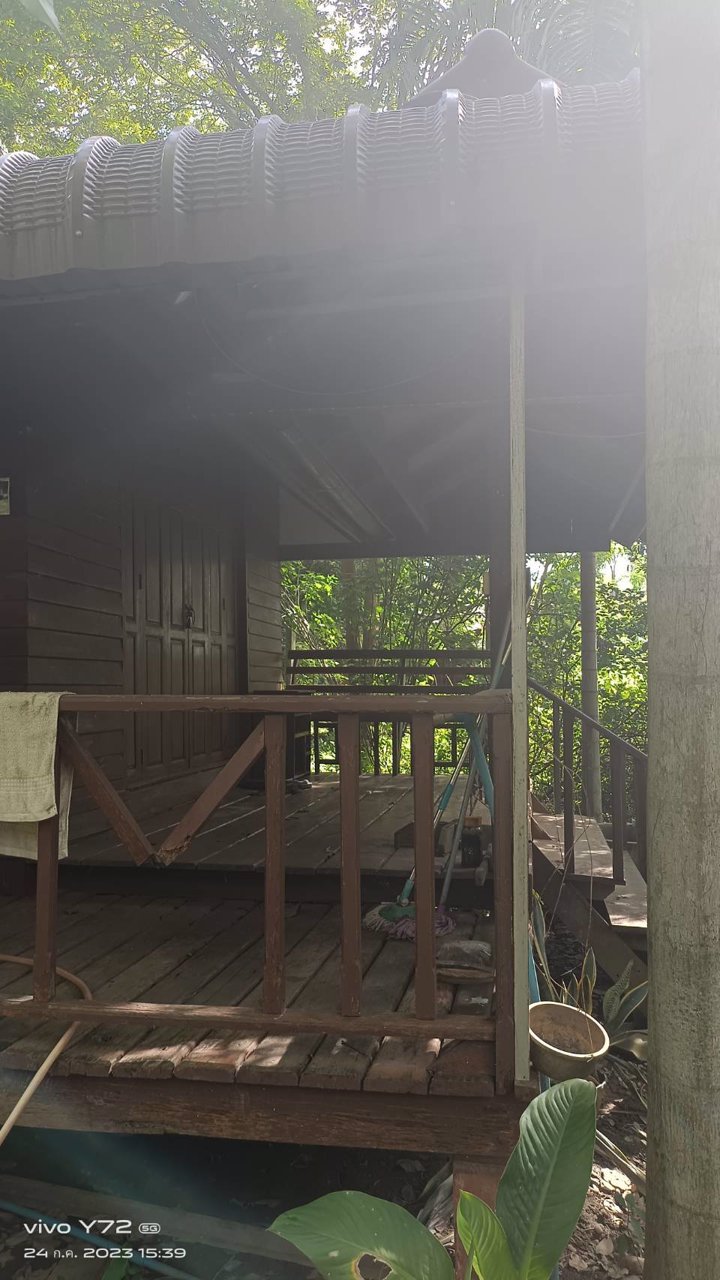 ขายที่ดิน-โฉนดครุฑแดง-นส๔-จ-เป็นที่โฉนดสองแปลงติดกัน-เจ้าของขายเอง-