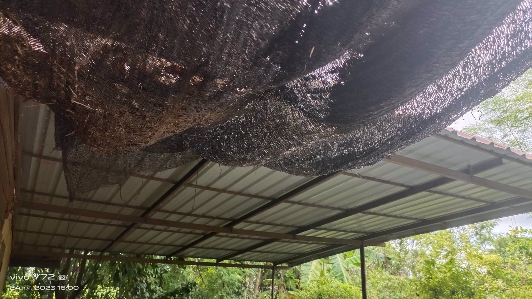 ขายที่ดิน-โฉนดครุฑแดง-นส๔-จ-เป็นที่โฉนดสองแปลงติดกัน-เจ้าของขายเอง-