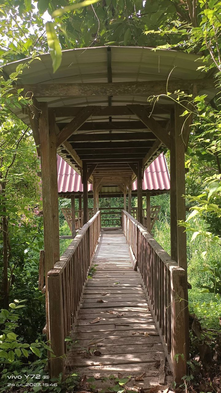 ขายที่ดิน-โฉนดครุฑแดง-นส๔-จ-เป็นที่โฉนดสองแปลงติดกัน-เจ้าของขายเอง-