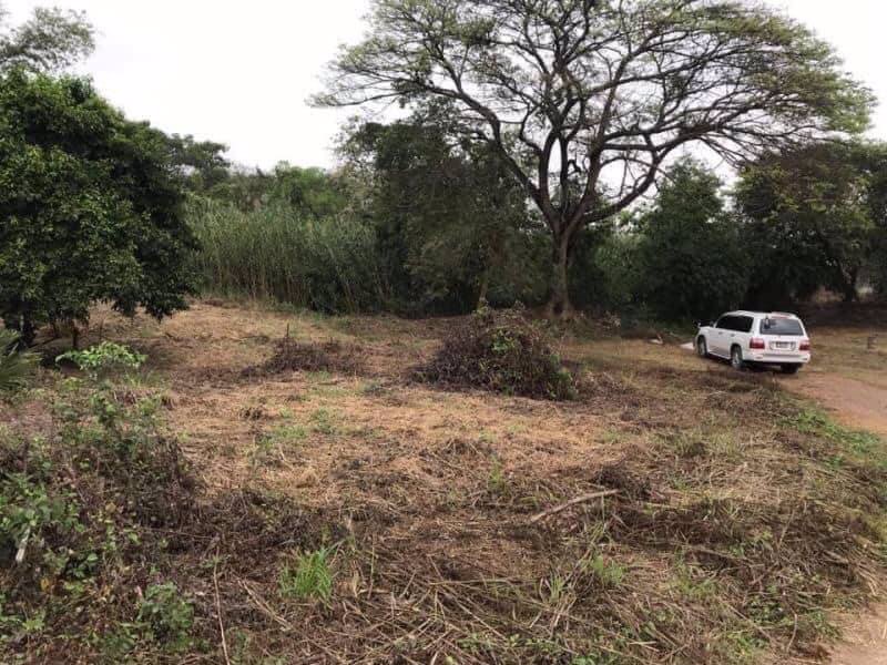 ขายที่ดินติดแม่น้ำเจ้าพระยา-จอยุธยา