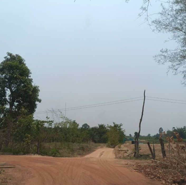 ขายที่ดินทำสวน-6ไร่-3งาน-31ตรว