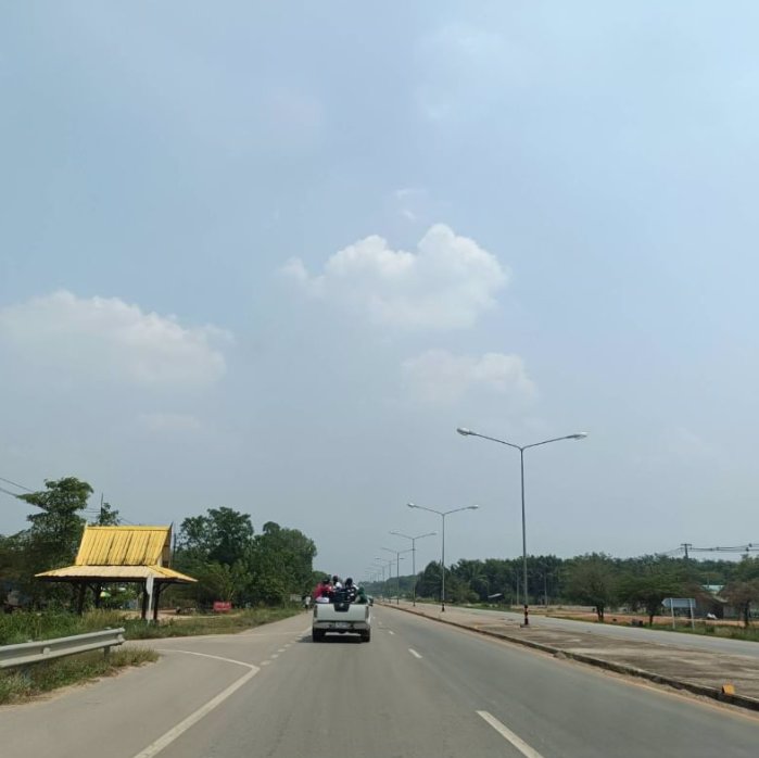 ขายสวนปาล์มและสวนยาง-44ไร่-ในเมือง-จบึงกาฬ