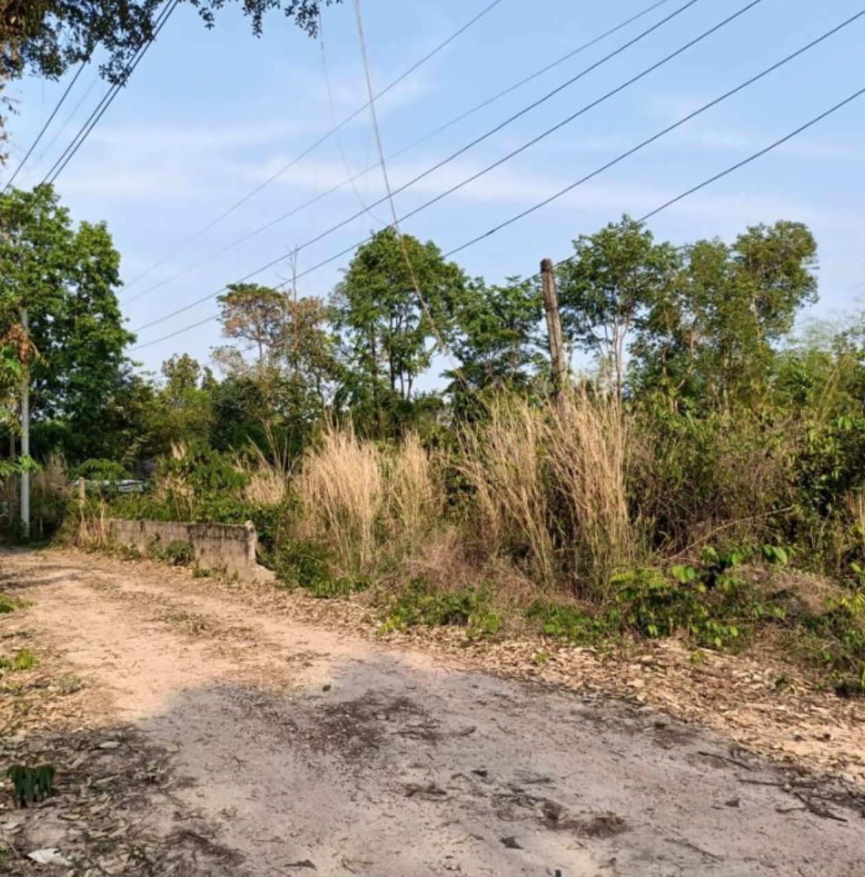 ขายที่ดิน-หลังร้านอาหารริมบึงโง้ง-2ไร่