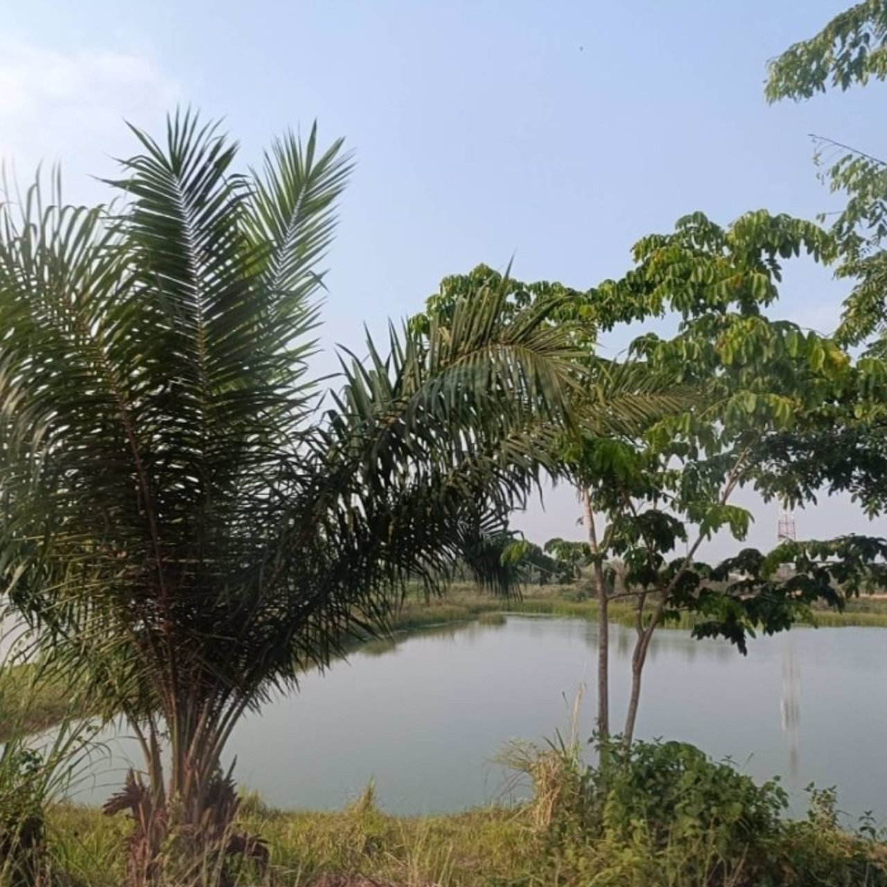 ขายที่ดิน-หลังร้านอาหารริมบึงโง้ง-2ไร่