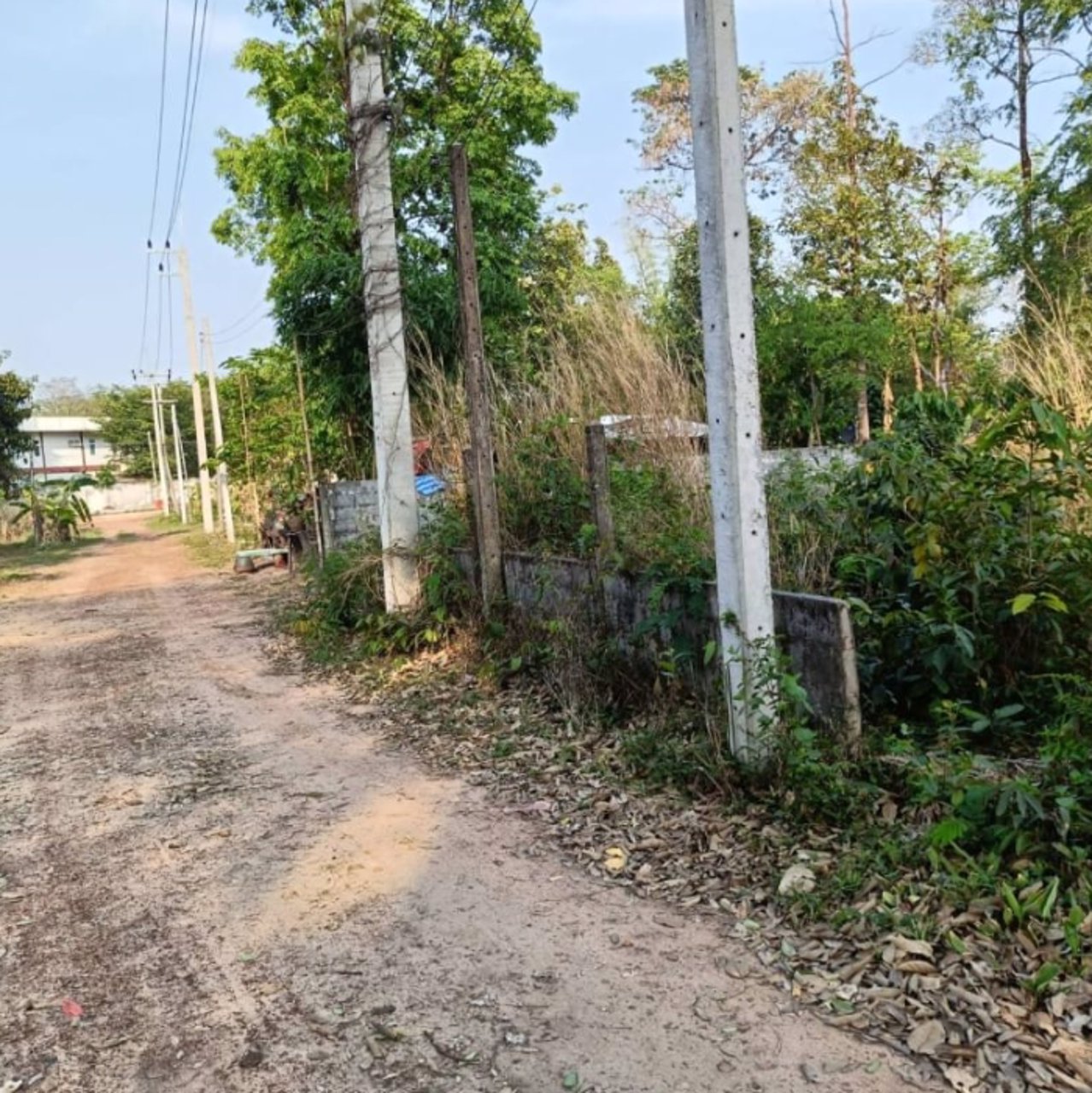 ขายที่ดิน-หลังร้านอาหารริมบึงโง้ง-2ไร่