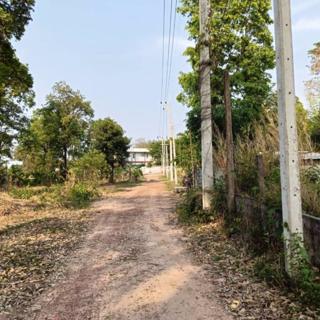 ขายที่ดิน-หลังร้านอาหารริมบึงโง้ง-2ไร่