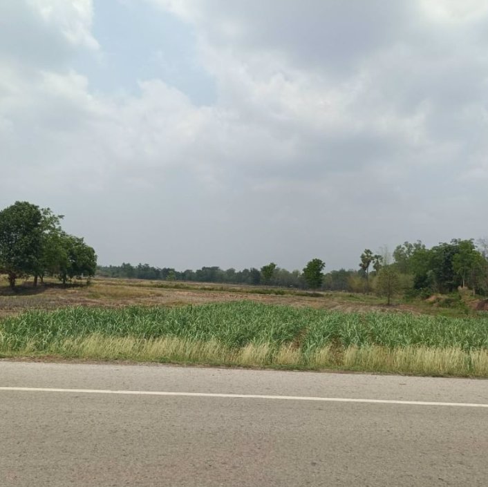 ขายที่ดินทำบ้าน-เนื้อที่-3ไร่-1งาน-69ตรว