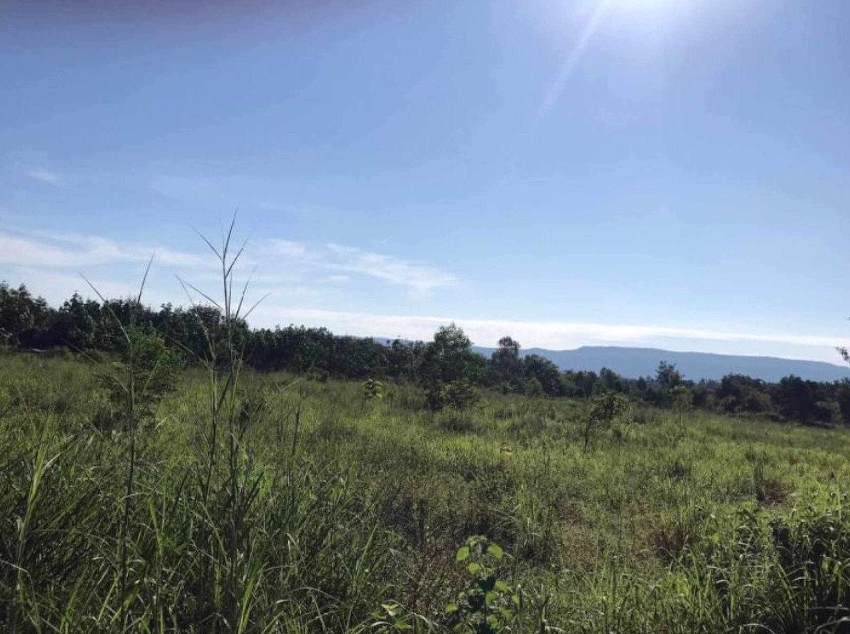 ขายที่ดินทำบ้าน-เนื้อที่-3ไร่-1งาน-69ตรว