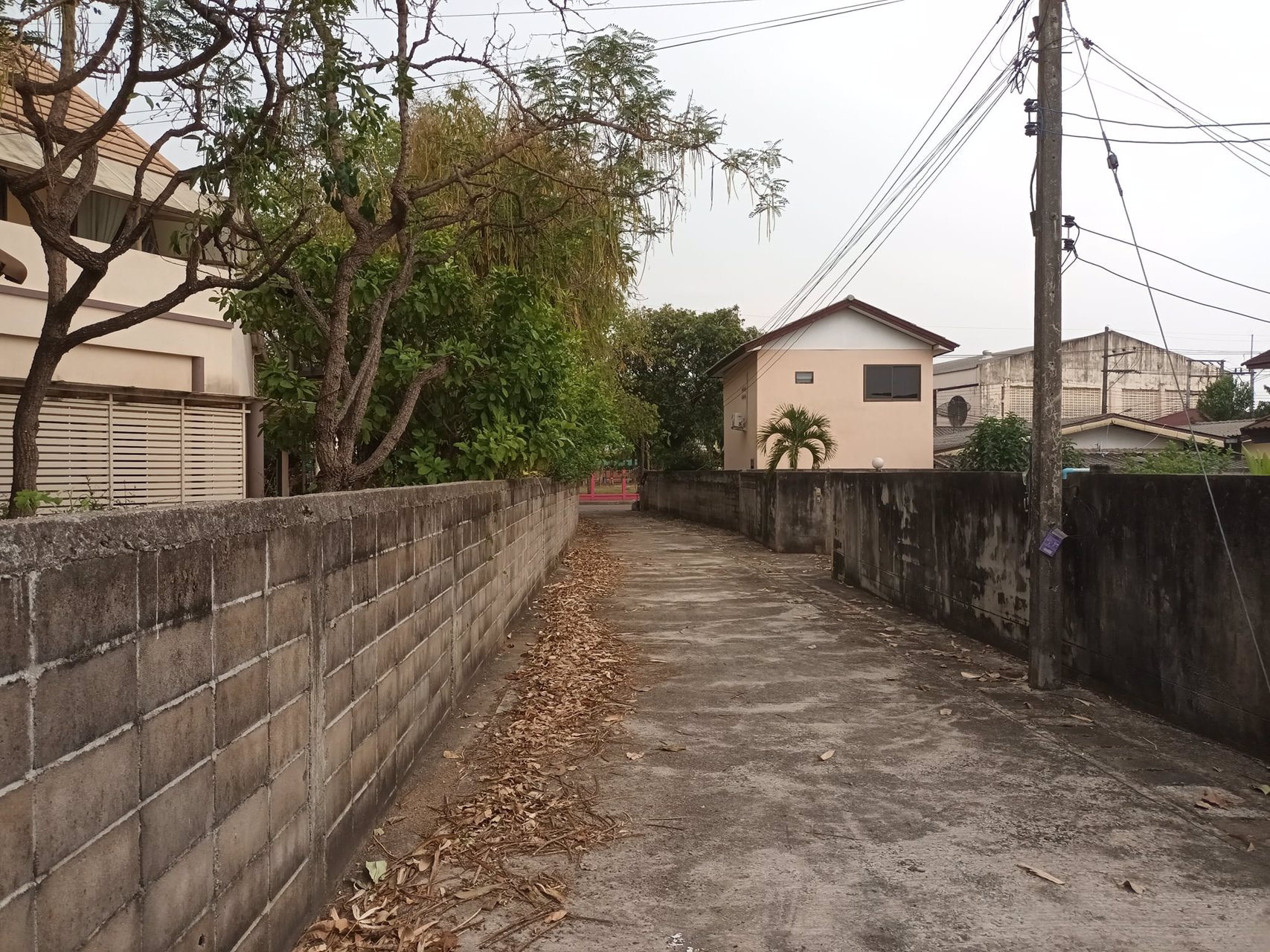 ขายที่ดิน-ตรงข้ามโรงเรียนเทศบาล3-อเมือง-จเชียงราย